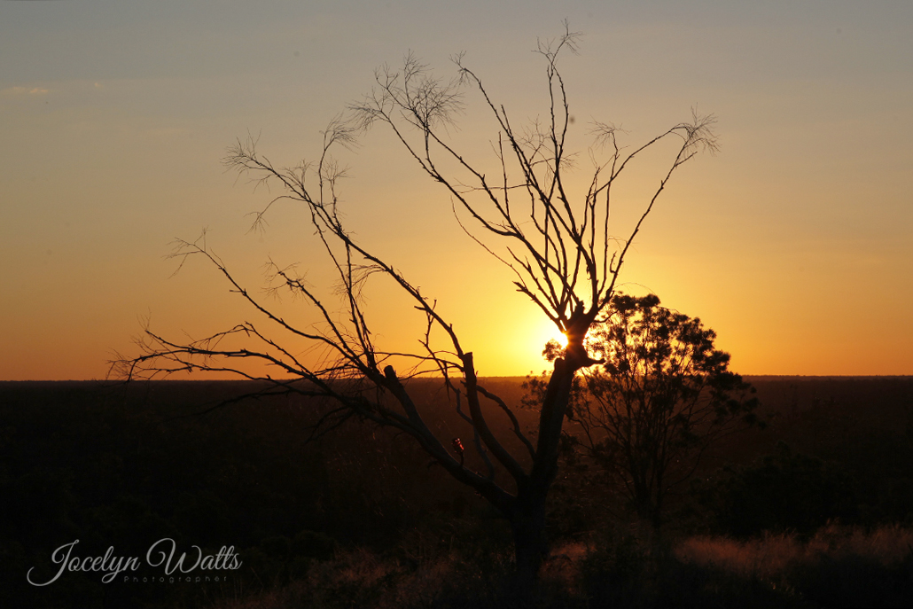 Dinosaur Trails Australia: Opalised dinosaur fossils at Lightning Ridge NSW Australia. Sunset at Lightning Ridge.