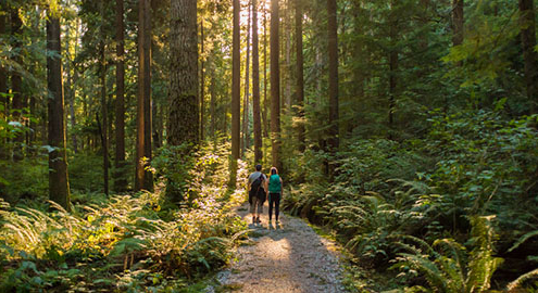 Nature prescriptions - couple walking in nature