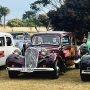 Citroen cars in a line.