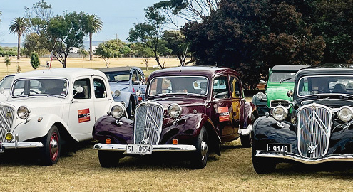 Citroen cars in a line.