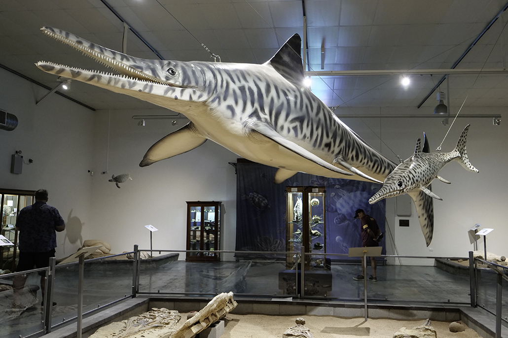 Dinosaur Trail - inside the Kronosaurus Korner museum.