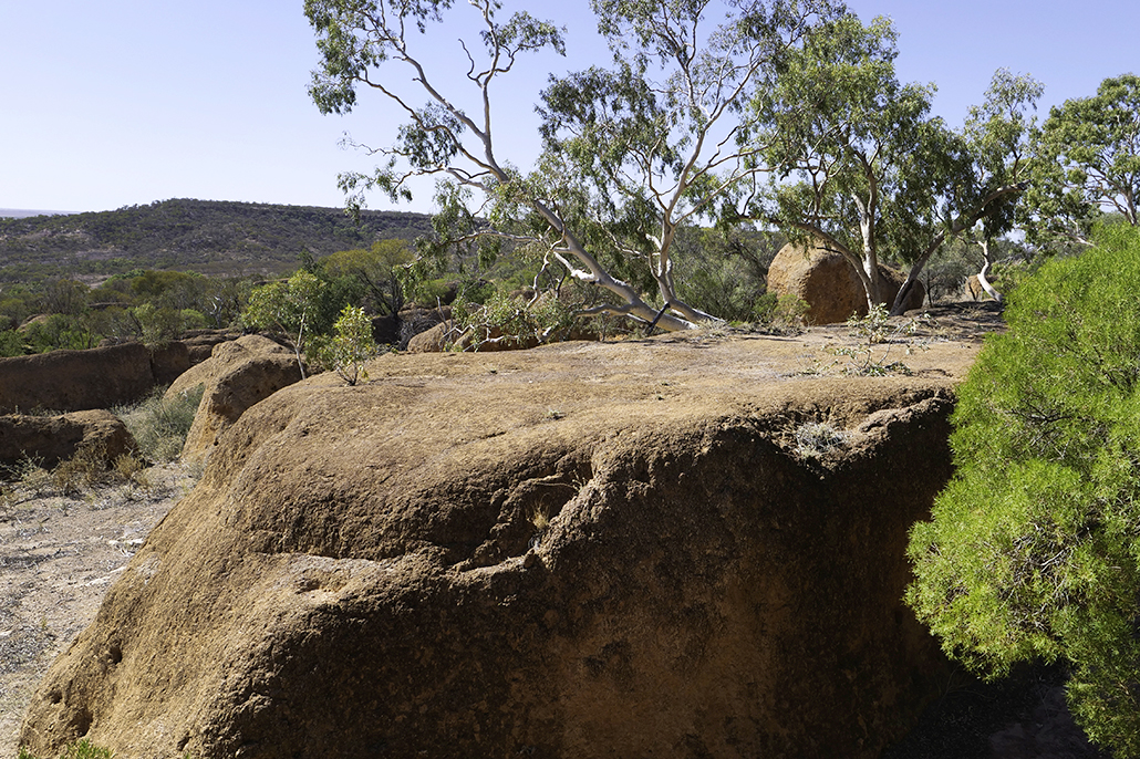 Dinosaur Trail - Outback Australia Scene