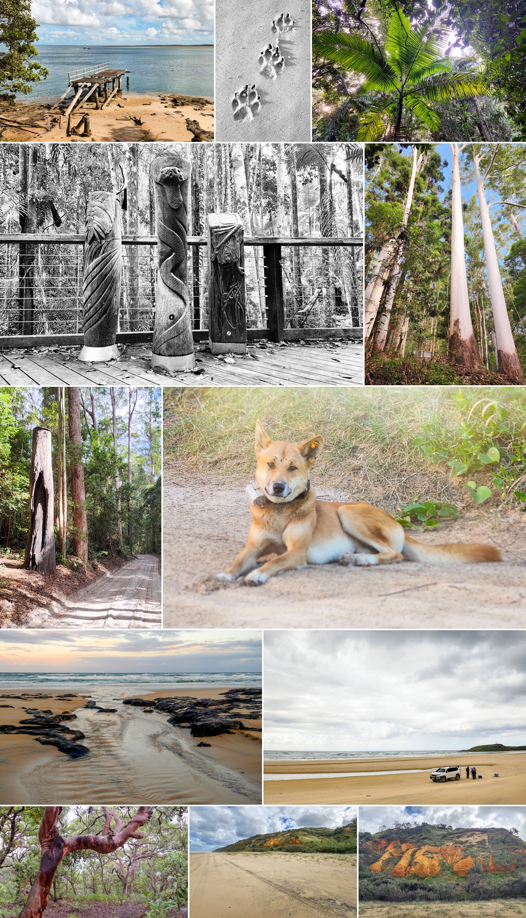 K'gari Cultural Tours - Collage of Photos
