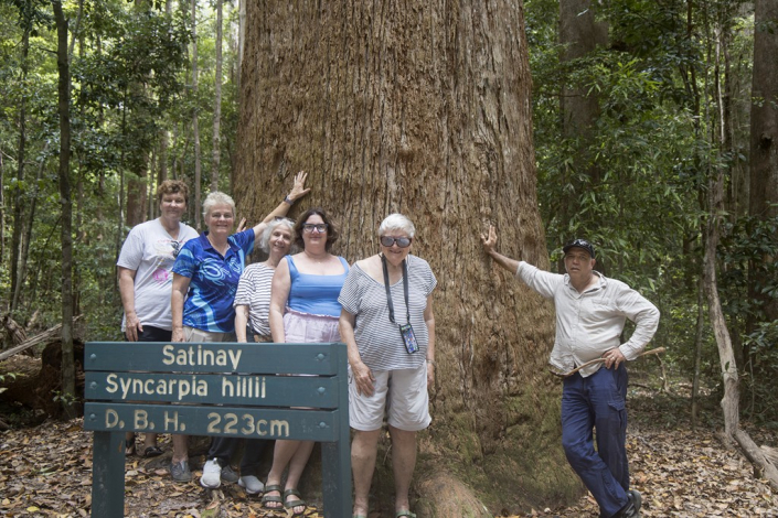 K'gari Cultural Tour