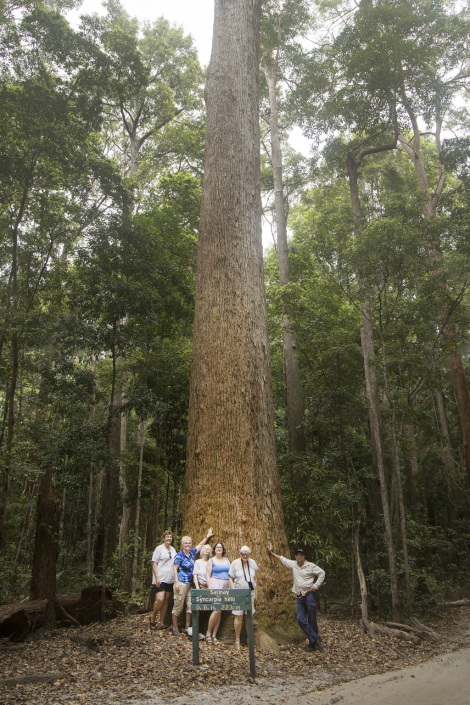K'gari Cultural Tour