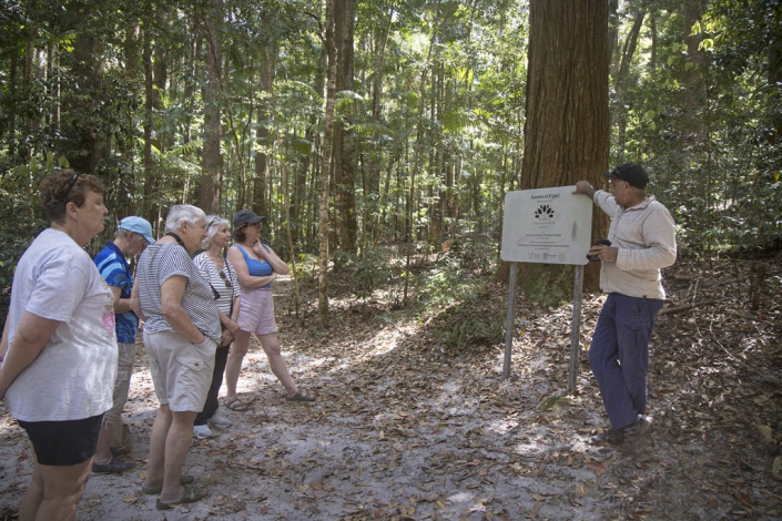 K'gari Cultural Tour