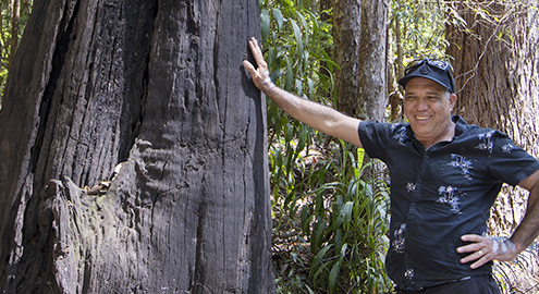 K'gari Cultural Experience - Tour guide standing next to a tree.