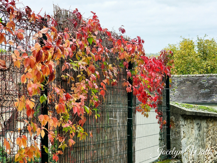 Provins day trip from Paris 2023 Paris Travel Photography