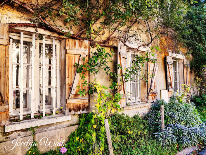 Monet’s Garden at Giverny Paris Travel Photography