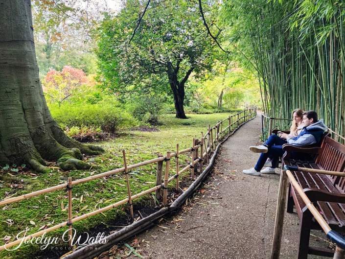 Monet’s Garden at Giverny Paris Travel Photography