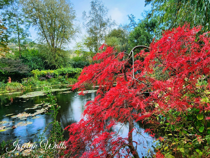 Monet’s Garden at Giverny Paris Travel Photography