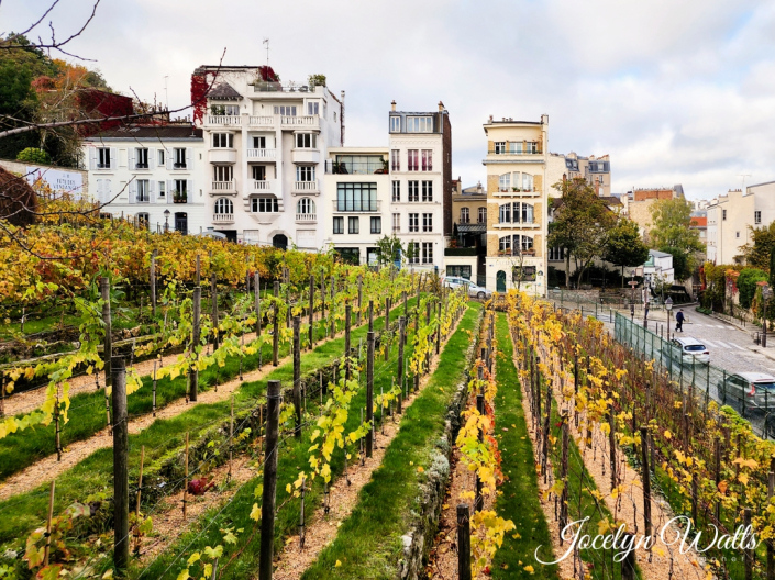 Montmartre, Paris Paris Travel Photography