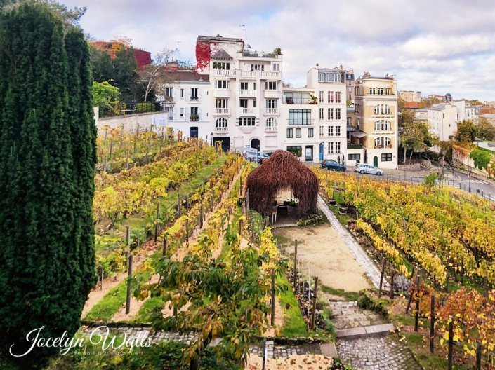 Montmartre, Paris Paris Travel Photography