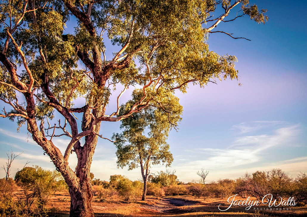 RFDS Oceans to Outback 2025 - Lagoon Creek, Barcaldine, Qld.