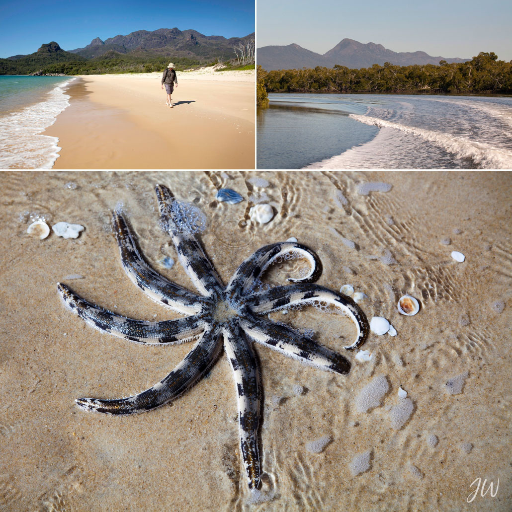 Best Things to do Near Mission Beach - Start early for the Hinchinbrook Channel.