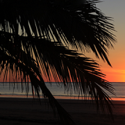 Best Things to do Near Mission Beach - Sunrise