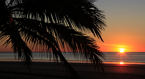Best Things to do Near Mission Beach - Sunrise