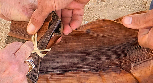 Fraser Coast arts: Hands weaving a traditional palm frond basket during a Butchulla cultural experience on K’gari (Fraser Island), part of the Fraser Coast’s arts and cultural heritage.
