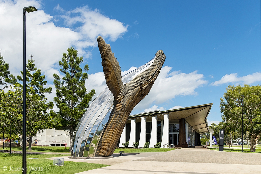 Whale sculpture outside Hervey Bay Regional Gallery