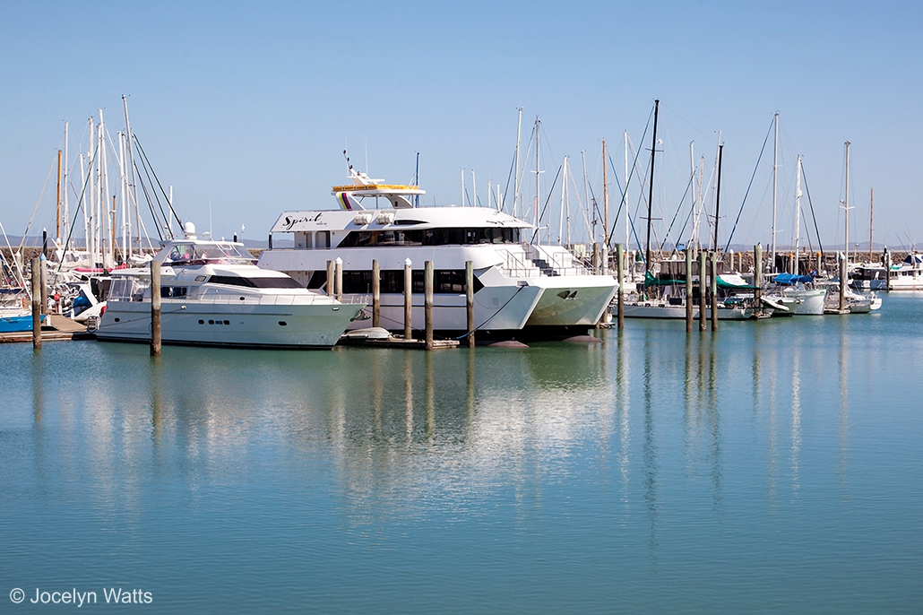 Boats moored at Hervey Bay marina ready for whale watching tours