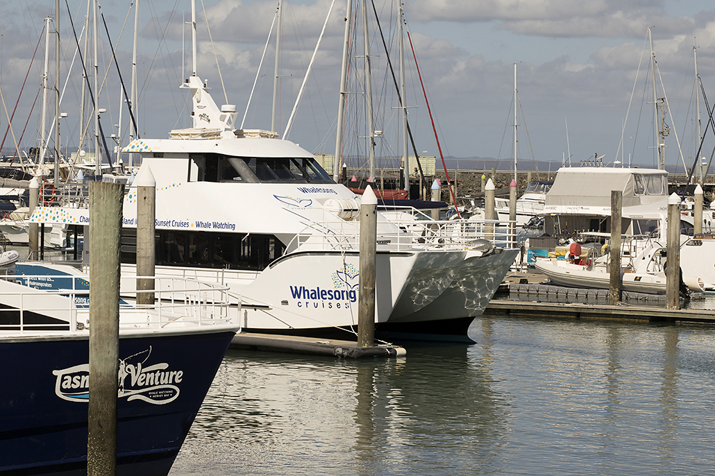 Whalesong and Tasman Venture vessels at the Great Sandy Straits Marina in Hervey Bay